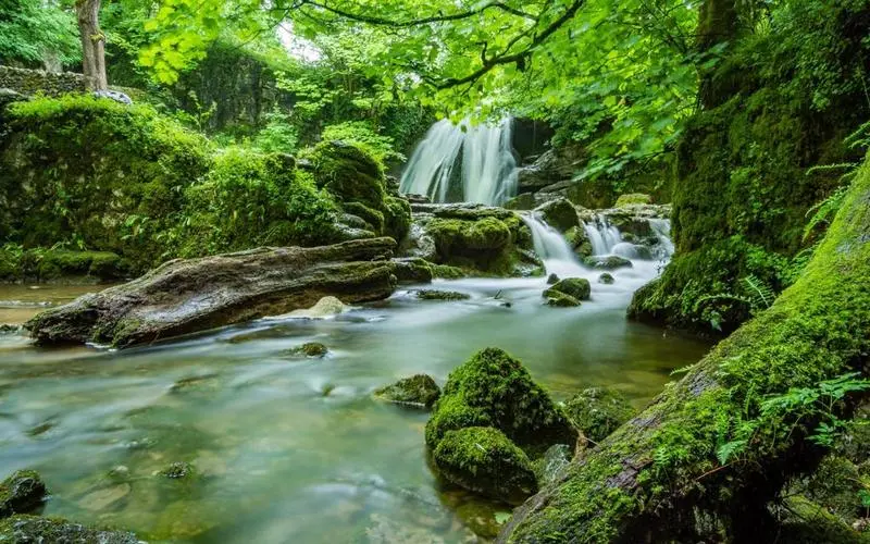 智能化可靠性高标准